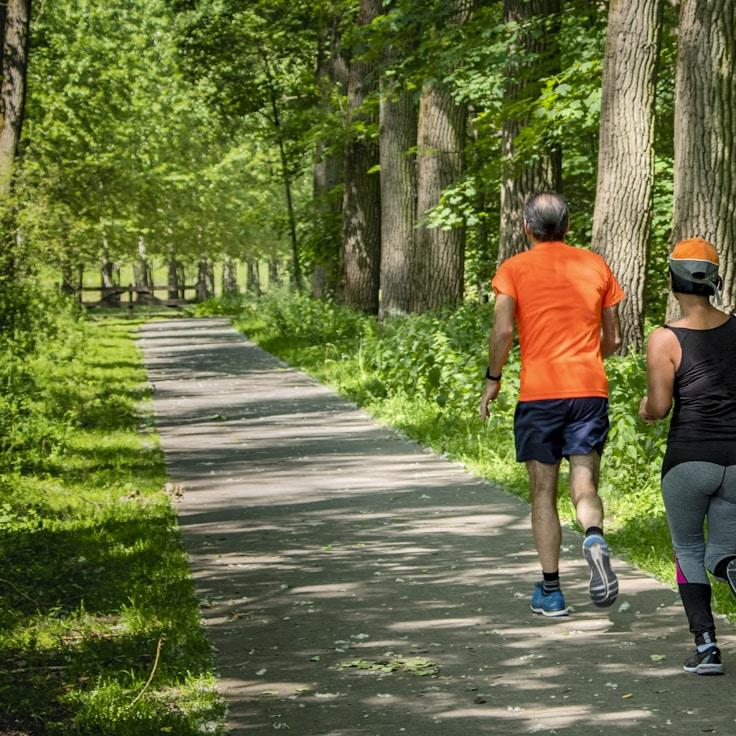 Choosing a gym and building a consistent fitness routine