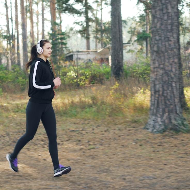 Professional gym with weight equipment